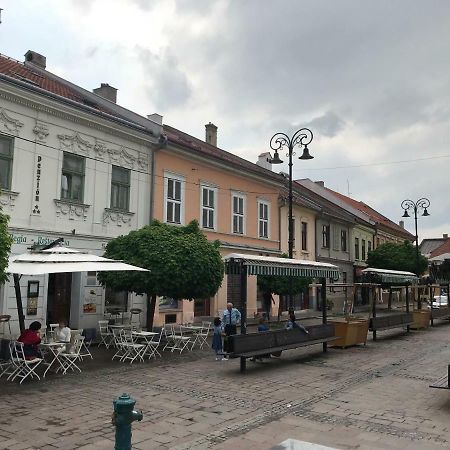 Duomo Rustical Διαμέρισμα Košice Εξωτερικό φωτογραφία